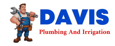 Trusted plumber in LAFE